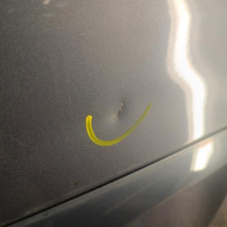 Malle/Hayon arriere RENAULT MODUS