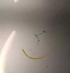 Porte arriere droit RENAULT CLIO 3