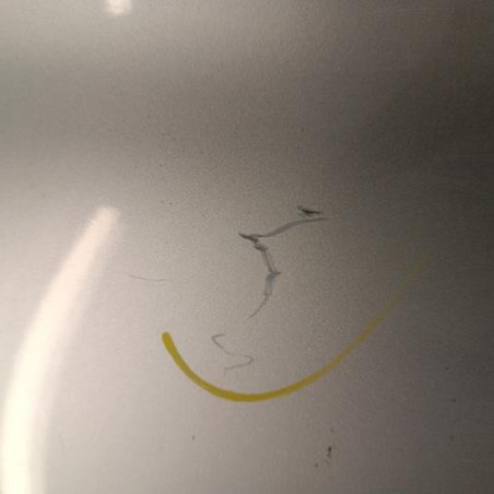 Porte arriere droit RENAULT CLIO 3