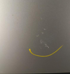 Porte arriere droit RENAULT CLIO 3 Photo n°3