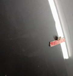 Capot AUDI A4 2 Photo n°5