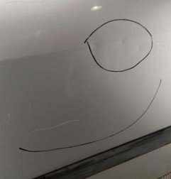 Porte avant gauche RENAULT SCENIC 2