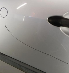 Porte avant gauche RENAULT SCENIC 2 Photo n°3