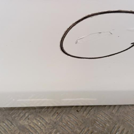 Porte arriere gauche DACIA SANDERO 2