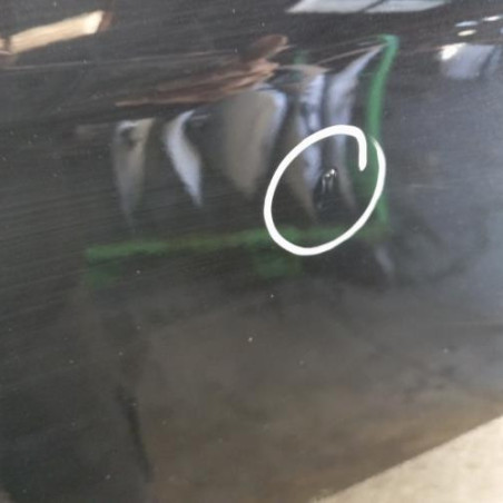 Porte avant gauche CITROEN C5 2