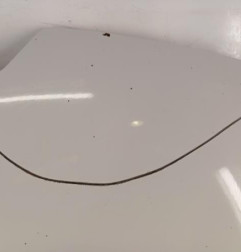 Capot RENAULT CLIO 4 Photo n°5