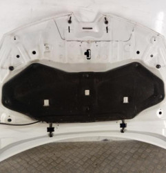 Capot RENAULT CLIO 4 Photo n°6