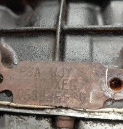 Moteur CITROEN XSARA Photo n°7