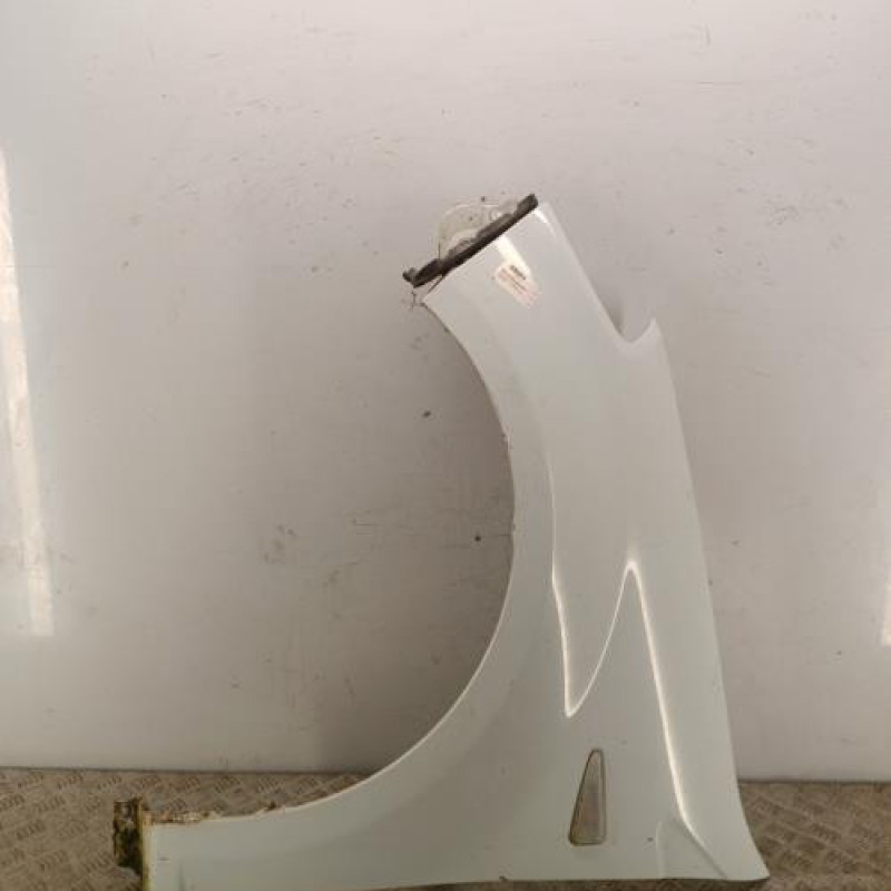 Aile avant gauche DACIA SANDERO 1