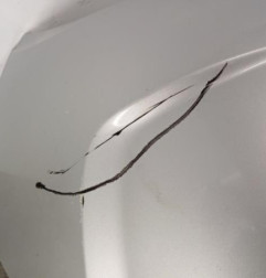 Pare choc arriere CITROEN C4 2 Photo n°3