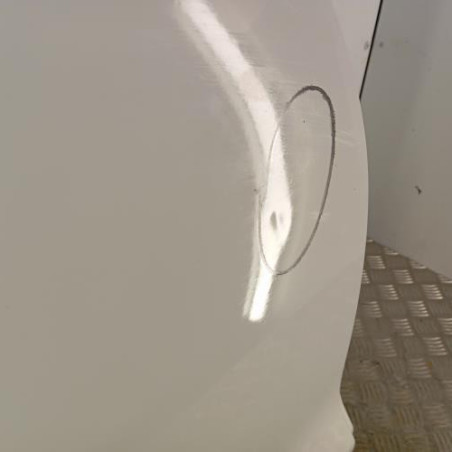 Porte arriere droit RENAULT CLIO 4