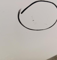 Porte arriere gauche RENAULT CLIO 4