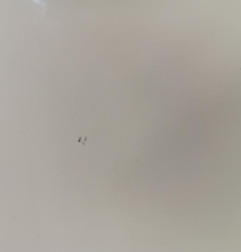 Porte laterale droit OPEL VIVARO 2 Photo n°5