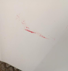 Porte laterale droit OPEL VIVARO 2 Photo n°6