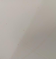 Porte laterale droit OPEL VIVARO 2 Photo n°7