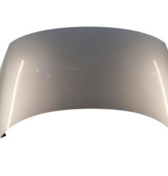 Capot RENAULT SCENIC 3 Photo n°1