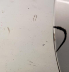 Porte arriere droit CITROEN C4 2 Photo n°4