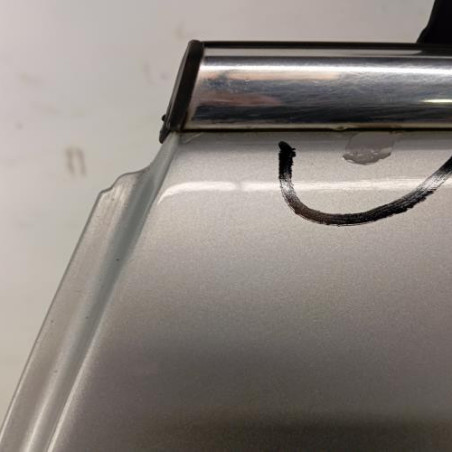 Porte arriere gauche CITROEN C4 2