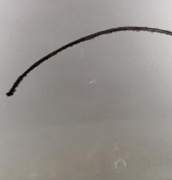 Porte avant droit CITROEN C4 2 Photo n°3