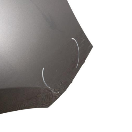 Aile avant droit RENAULT SCENIC 3