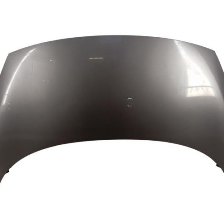 Capot RENAULT SCENIC 3 Photo n°1