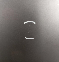 Capot RENAULT SCENIC 3 Photo n°3