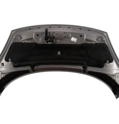 Capot RENAULT SCENIC 3 Photo n°4