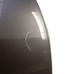 Porte arriere droit RENAULT SCENIC 3