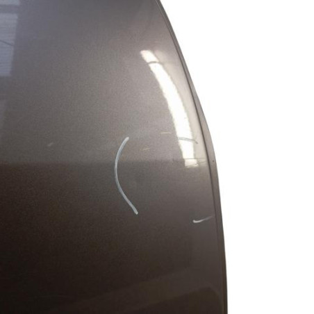 Porte arriere droit RENAULT SCENIC 3