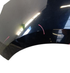 Aile avant gauche RENAULT SCENIC 3 Photo n°3