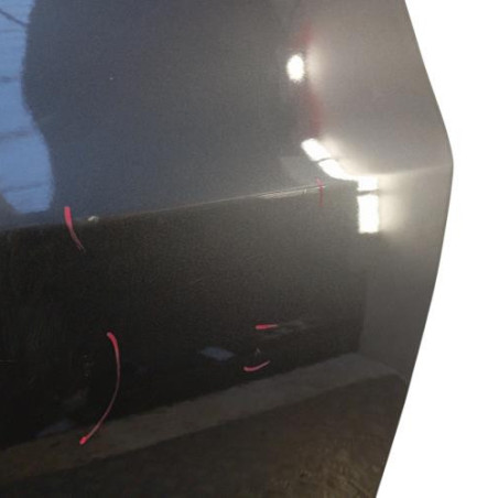 Porte arriere gauche OPEL MERIVA B