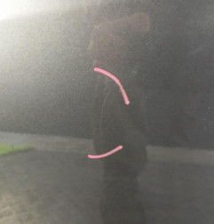 Porte avant gauche OPEL MERIVA B Photo n°5