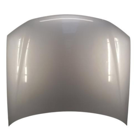 Capot PEUGEOT 406 Photo n°1