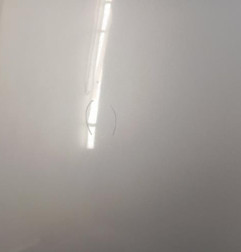 Capot PEUGEOT 406 Photo n°4