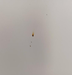 Capot RENAULT CLIO 4 Photo n°6