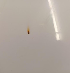 Capot RENAULT CLIO 4 Photo n°5