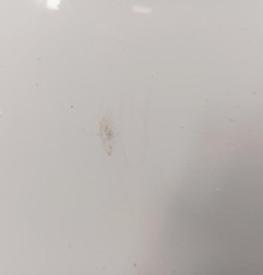 Capot RENAULT CLIO 4 Photo n°6