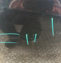 Porte avant droit OPEL MERIVA B Photo n°3