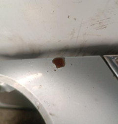 Capot MINI MINI 1 R50/R53