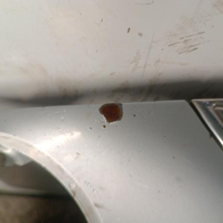 Capot MINI MINI 1 R50/R53