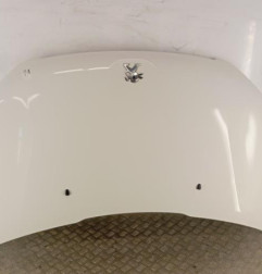 Capot PEUGEOT 2008 1 Photo n°1