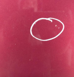 Capot RENAULT SCENIC 3