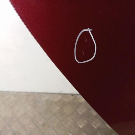 Porte arriere droit RENAULT SCENIC 3