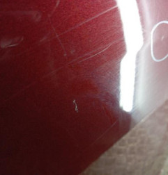 Porte arriere droit RENAULT SCENIC 3 Photo n°5