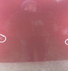 Porte arriere gauche RENAULT SCENIC 3 Photo n°3