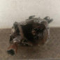 Boite de vitesses RENAULT CLIO 2