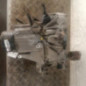 Boite de vitesses RENAULT CLIO 2