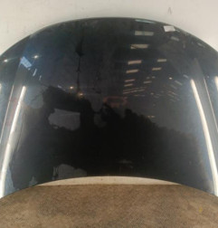 Capot VOLKSWAGEN EOS Photo n°1