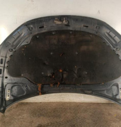 Capot VOLKSWAGEN EOS