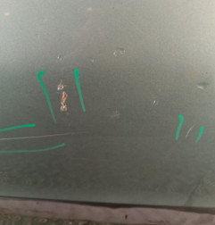 Porte avant gauche PEUGEOT 206 Photo n°3